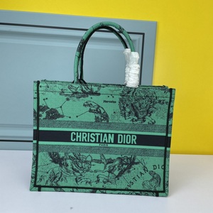 DIOR Handbags 504